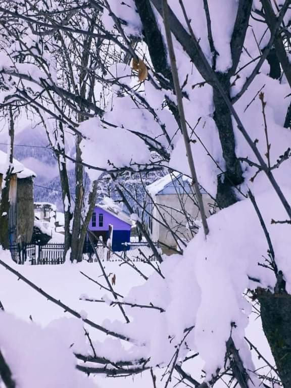 Shorena'S Homestay Tsvirmi Exterior foto